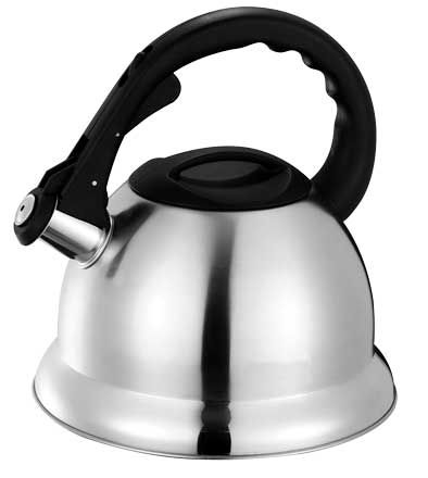 Home Basics Silver Stainless Steel Tea Kettle